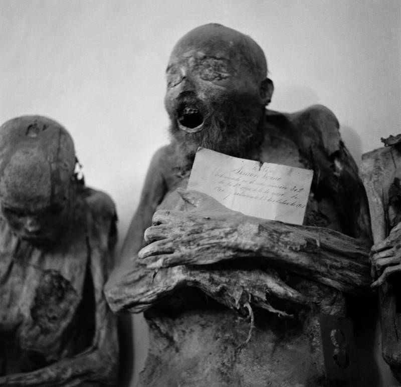 One of the Guanajuato mummies clutches a document.