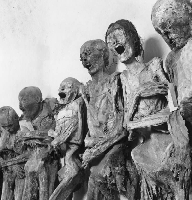 Guanajuato mummies on display, 1955.