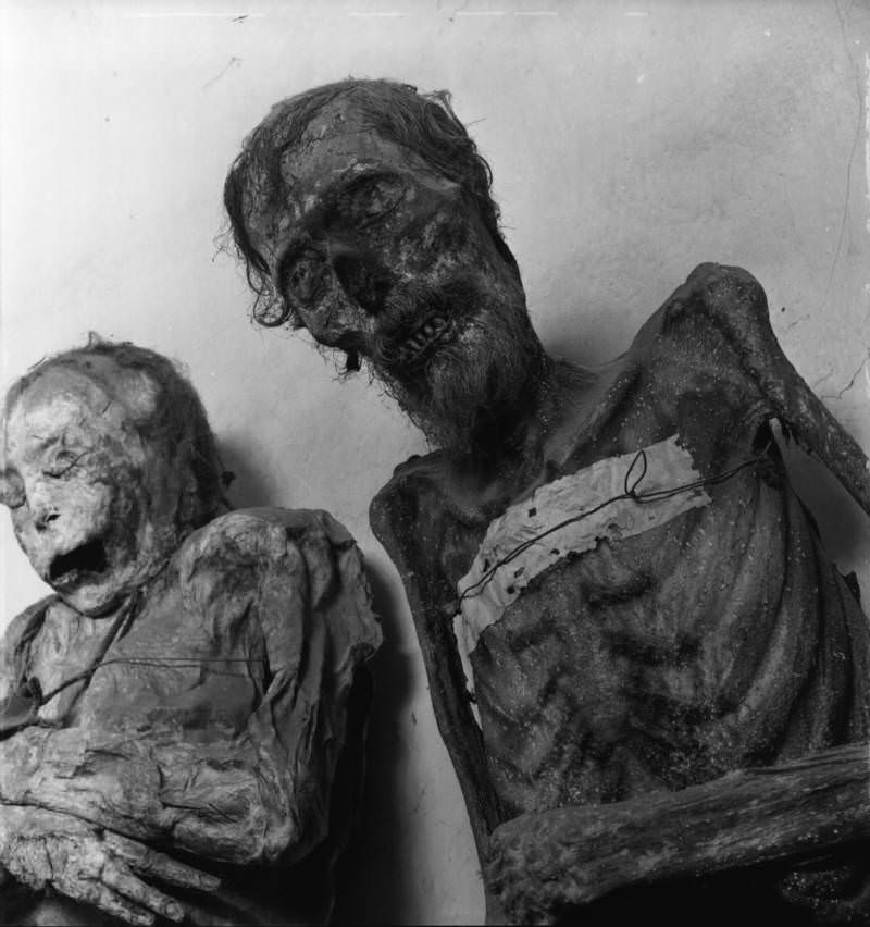 Two of the Guanajuato mummies on display.