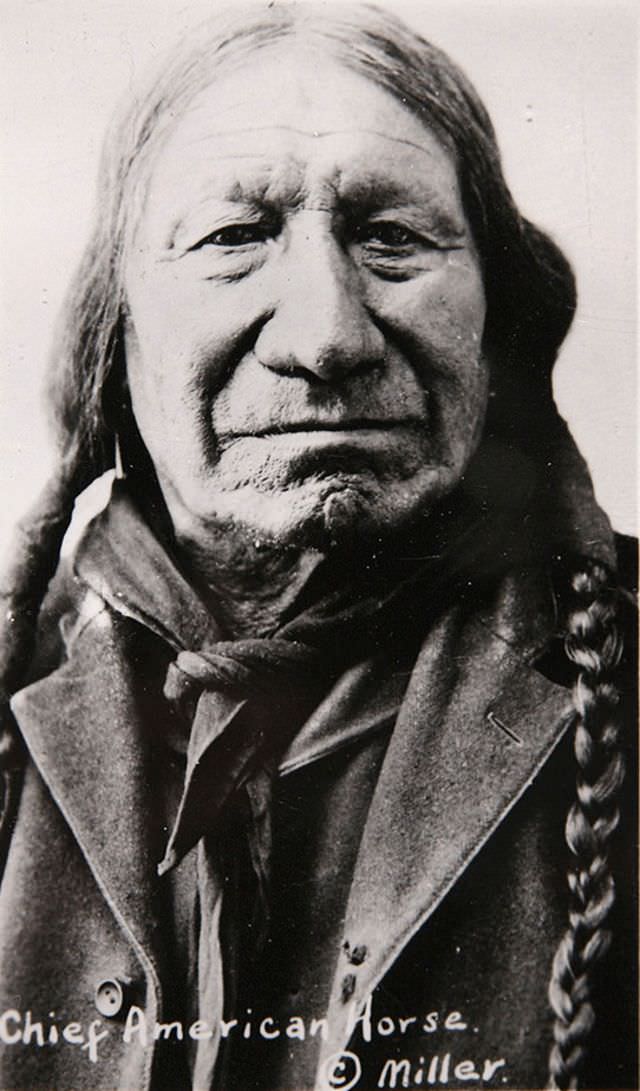 Chief American Horse