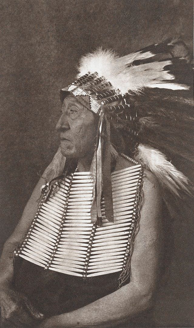 Chief White Horse