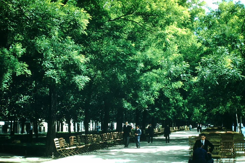 Pasa Castellano Parkway. Madrid, Spain, 1954