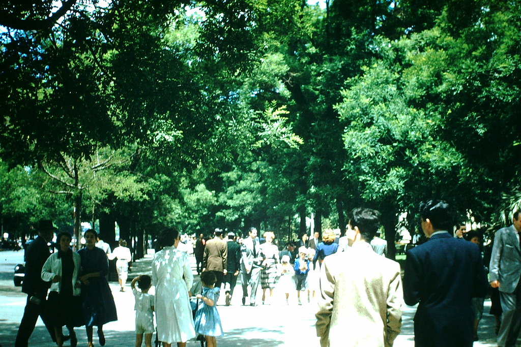 Strollers in Walk Paseo Recoletos. Madrid, Spain, 1954