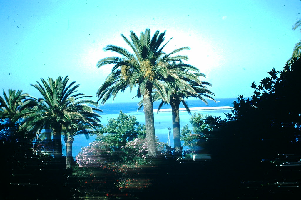 Hotel Gardebns and Med. Hotel Reina Christina Algeciras, Spain, 1954