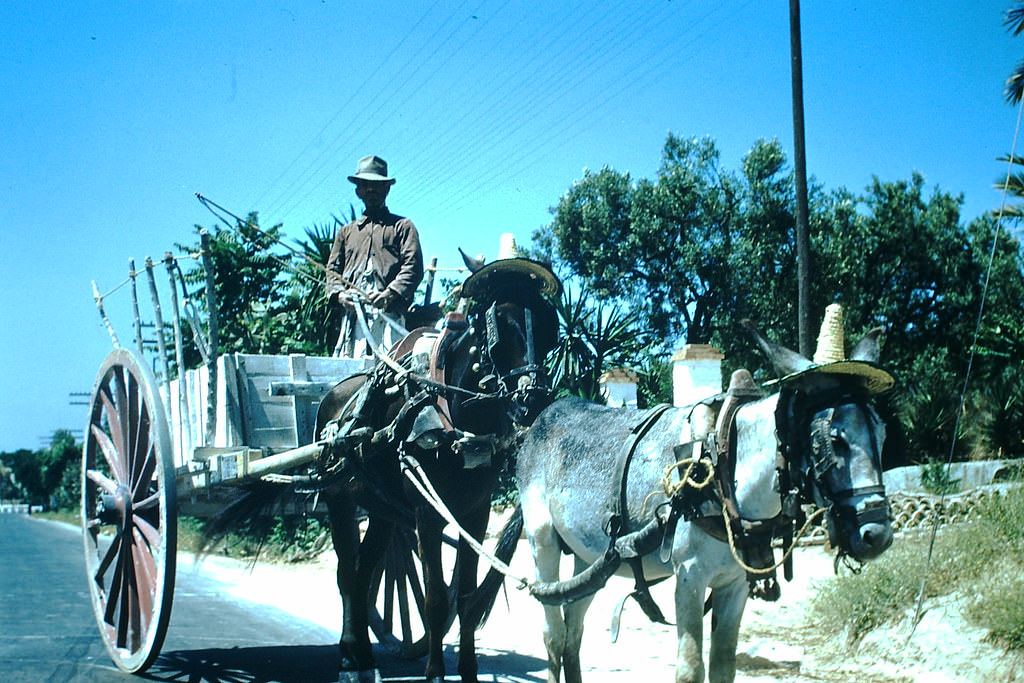 Latest Fashion Mallaga Valley, Spain, 1954