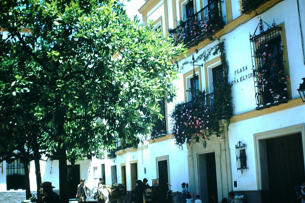 Organ Grinder etc Santa Cruz, Spain, 1954