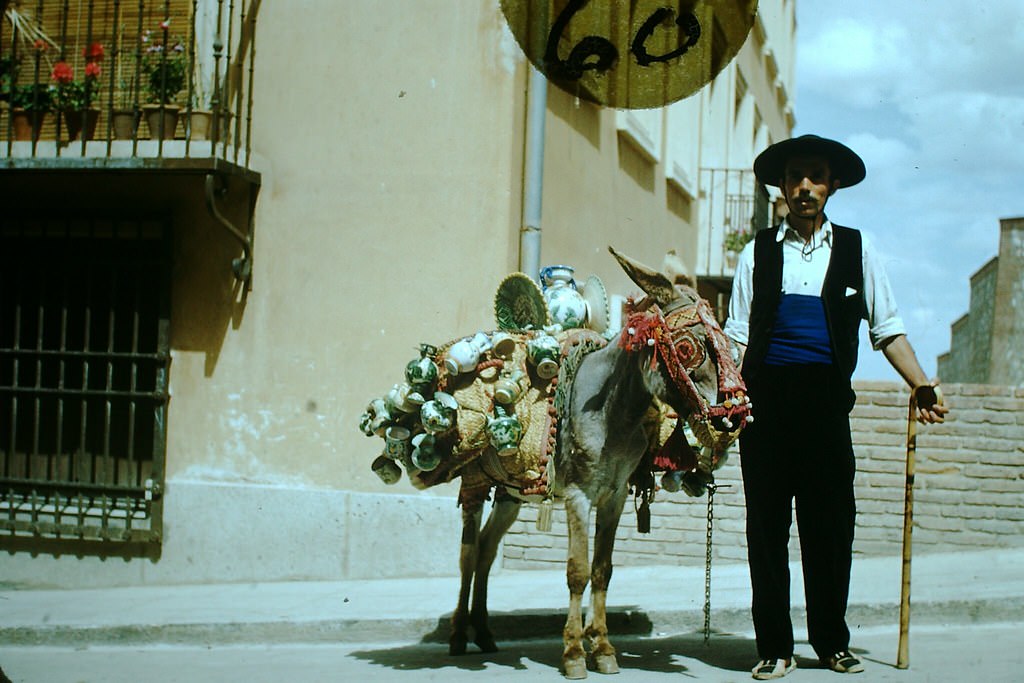 The Tourists Friend- Toledo, Spain, 1954