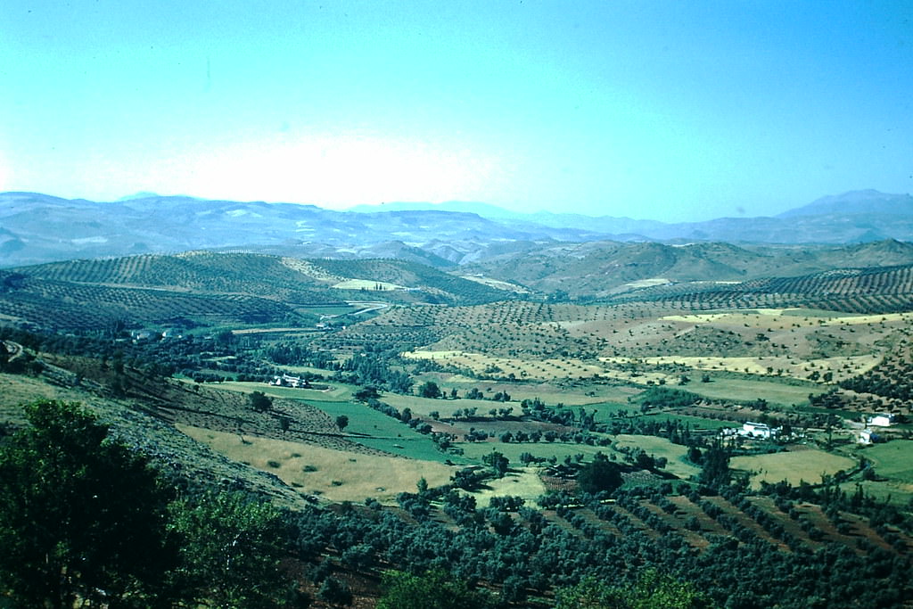 Valley nr Loja on way to Mallaga, Spain, 1954