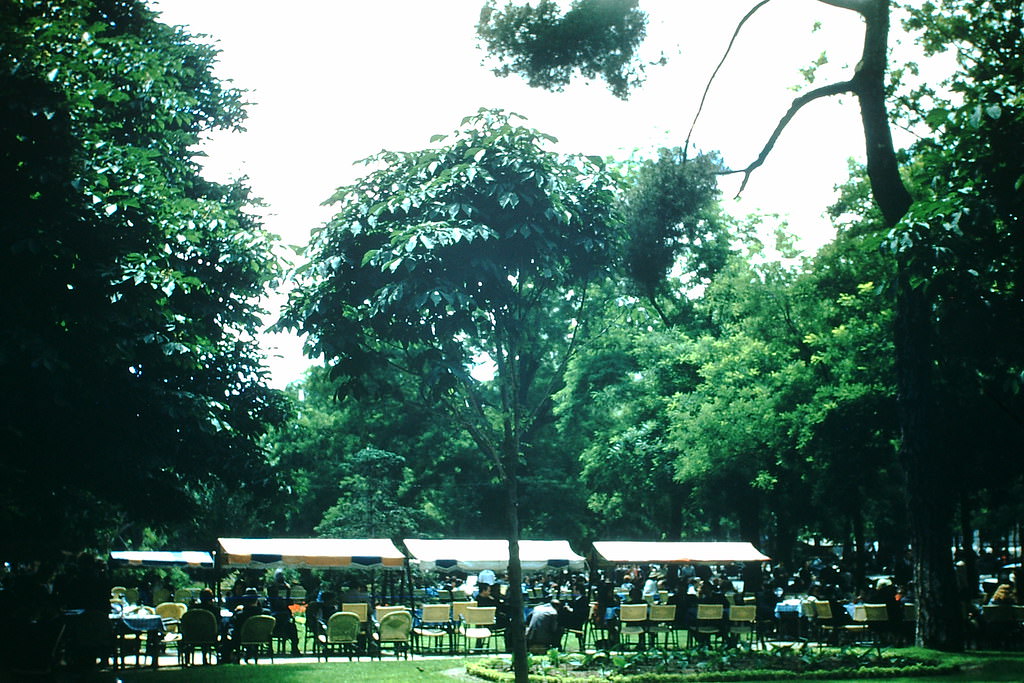 Diners Avenido Paseo Reoletos. Madrid, Spain, 1954