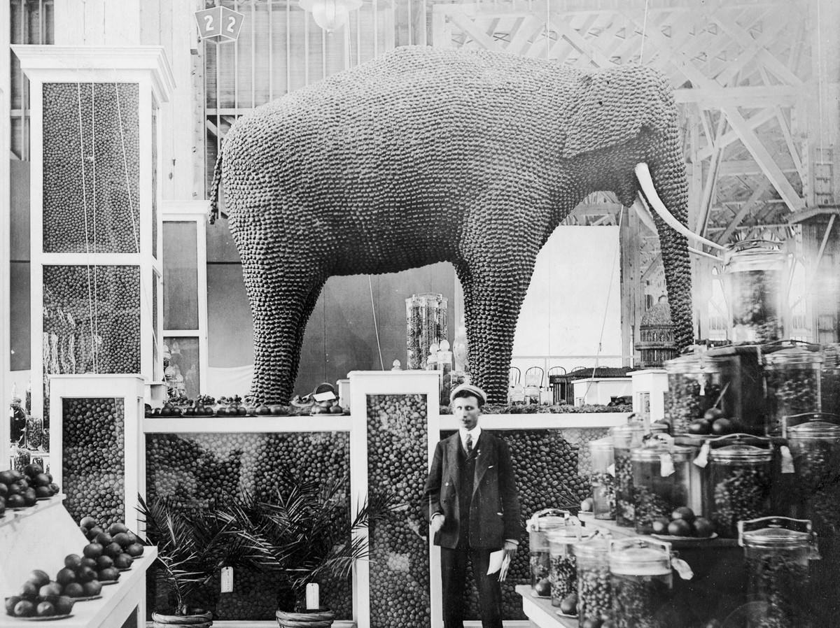 Inside the Palace of Horticulture, an elephant made from almonds stands in the California exhibit.