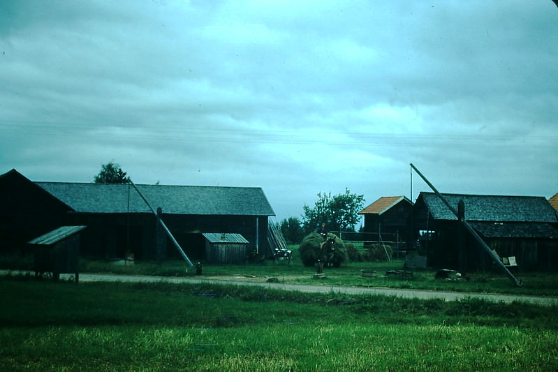 Farm Homes on Siljan Lake, Sweden, 1954