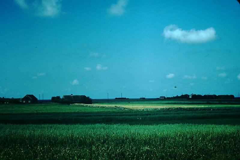 Landscape Near Varberg on Coast, Sweden, 1954