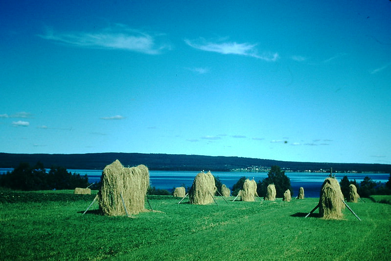 Upper Siljan Lake, Sweden, 1954