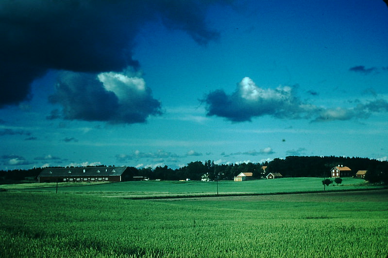 Farm Near Soderkoping, Sweden, 1954