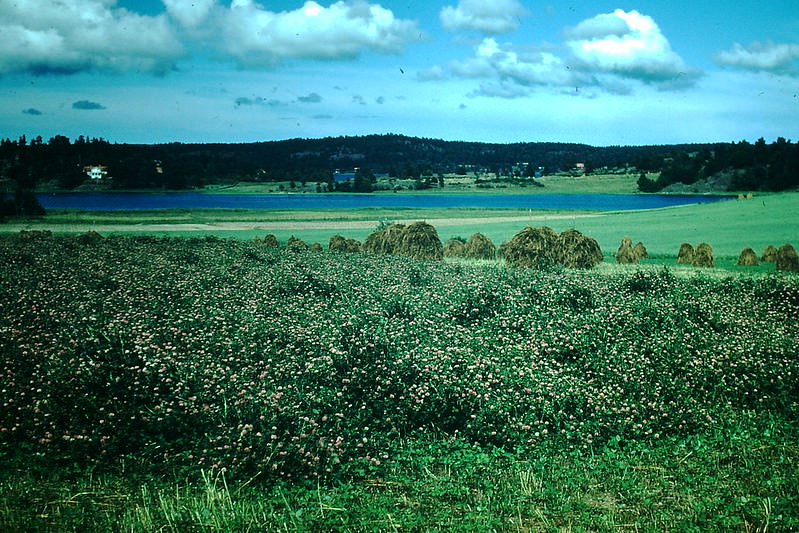Sound Near Gameley, Sweden, 1954