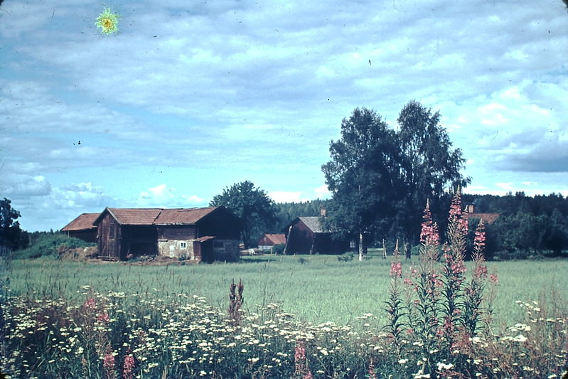 Near Hedemora, Sweden, 1954