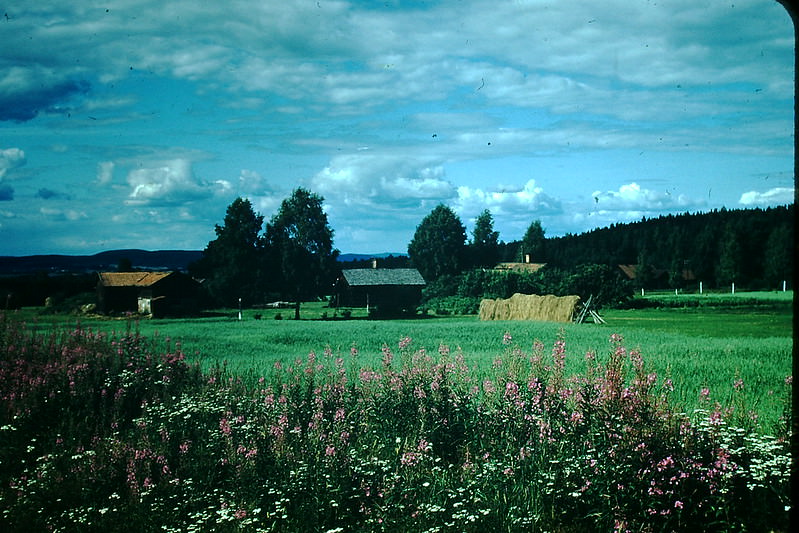 Near Hedemora, Sweden, 1954