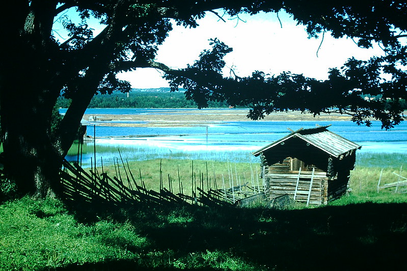 Near Rattvik, Sweden, 1954