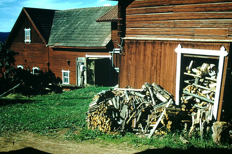 Putting Hay near Rattvik, Sweden, 1954