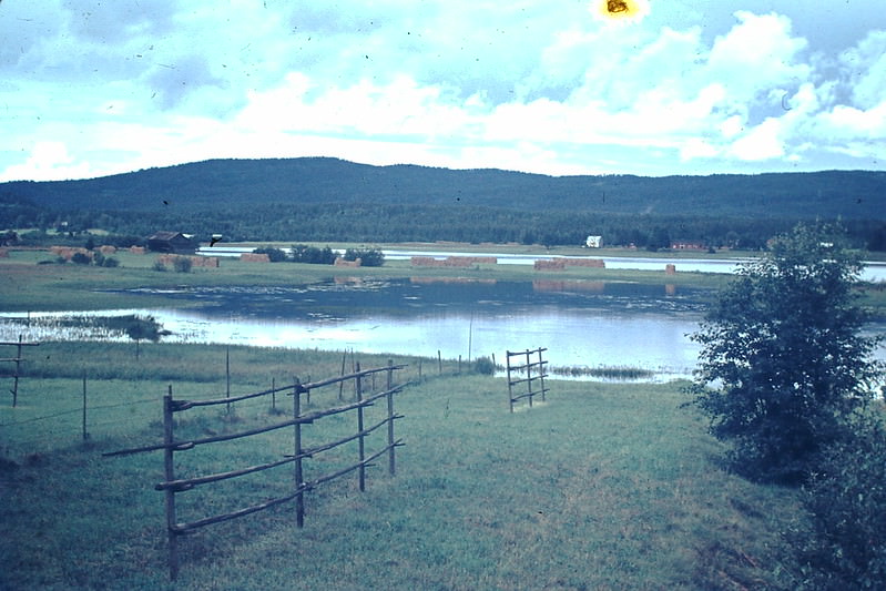 Lake Near Torsay, Sweden, 1954