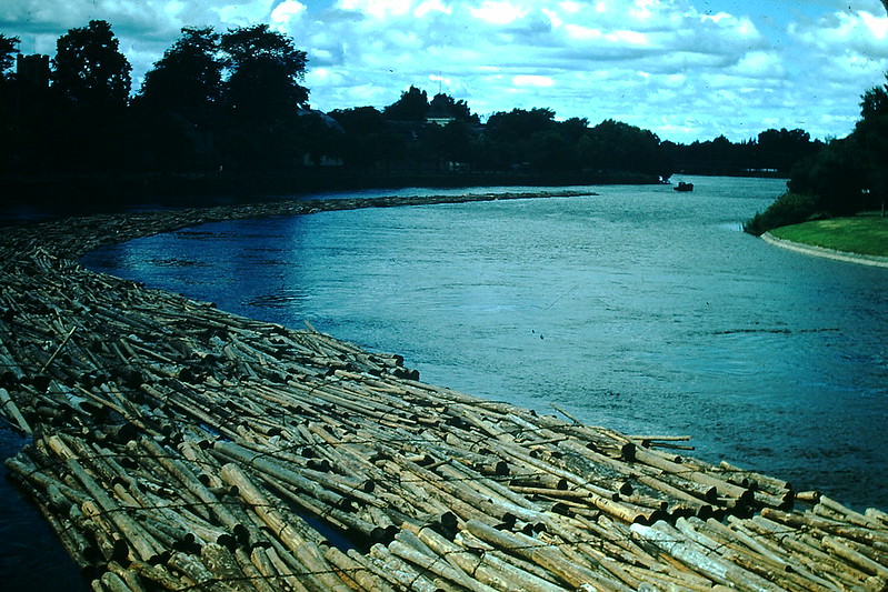 Floating Logs in Karlstad, Sweden, 1954