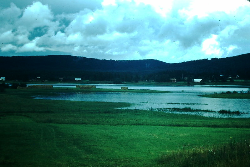 Lake Near Torsby on way to Sunne, Sweden, 1954