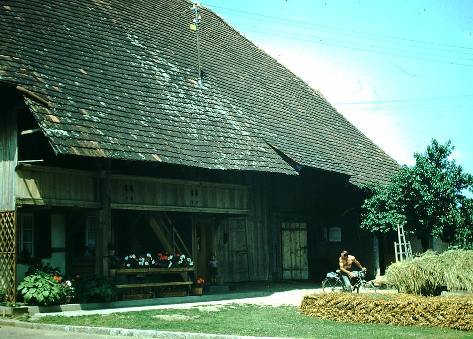 Muntschemier Near Ins, Switzerland, 1954