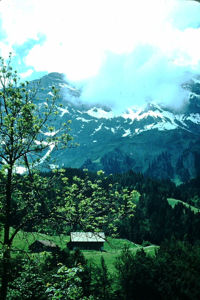 Rural Scene from Zurich to Engleberg, Switzerland, 1954