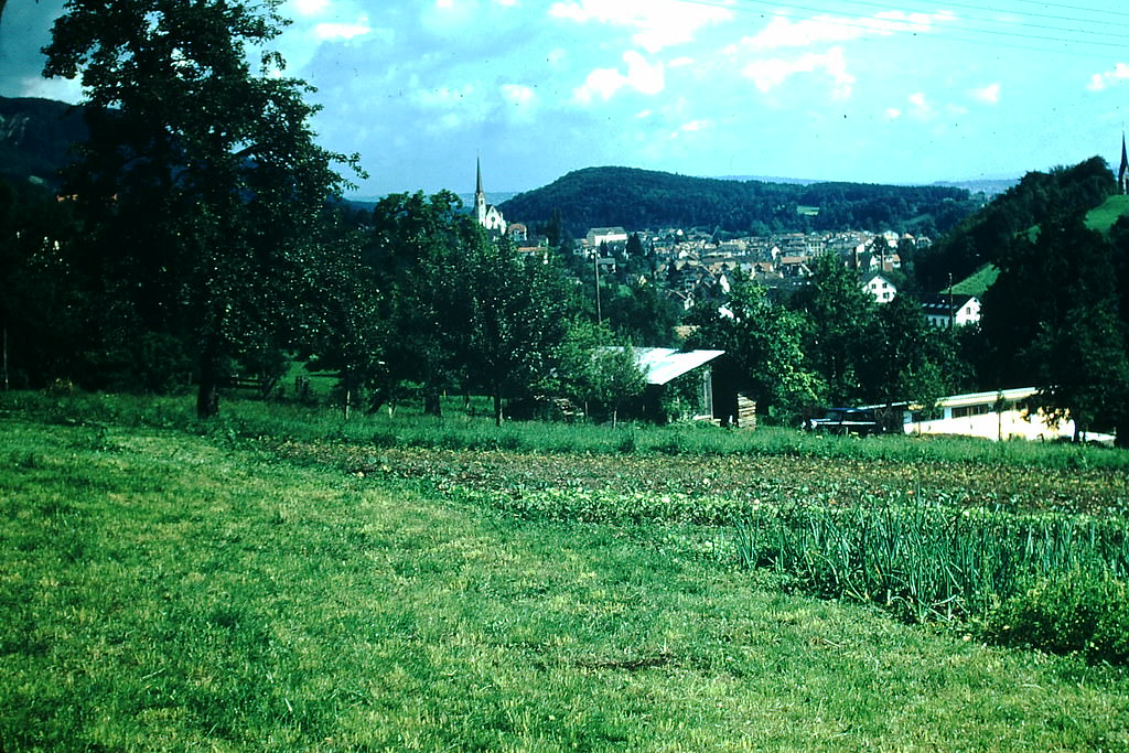 Suburb of Zurich, Switzerland, 1954