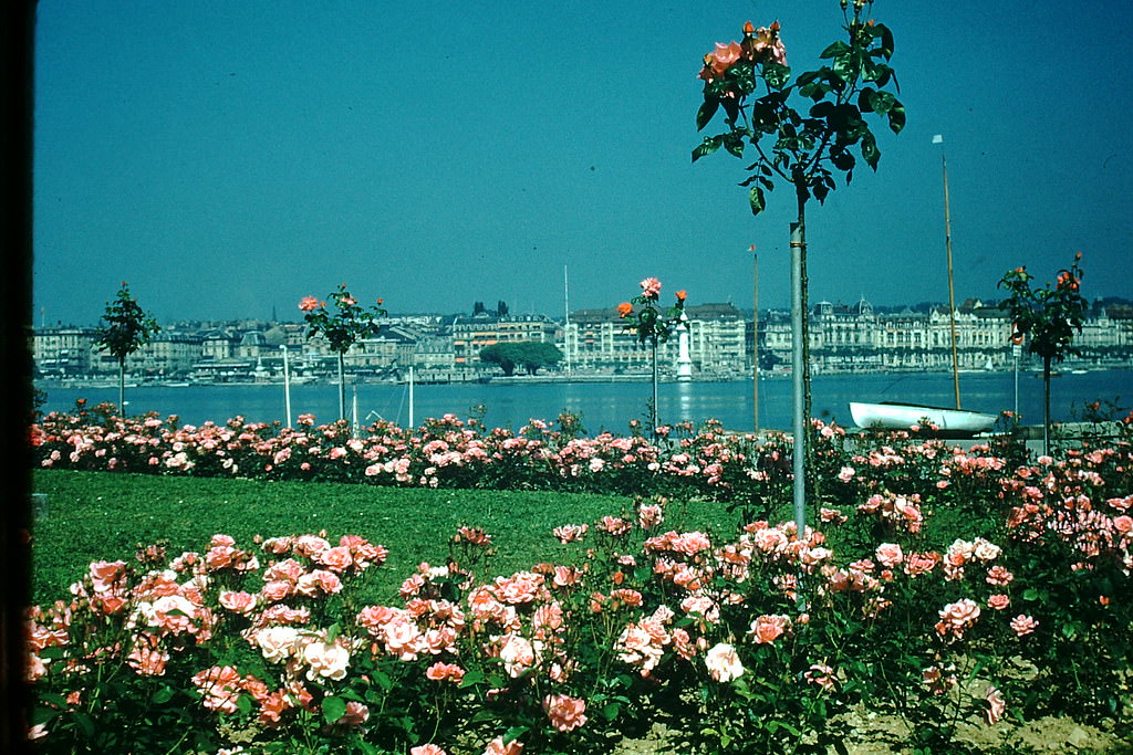 Switzerland, 1954