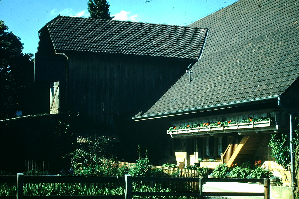 Swiss Farm Near Berne, Switzerland, 1954