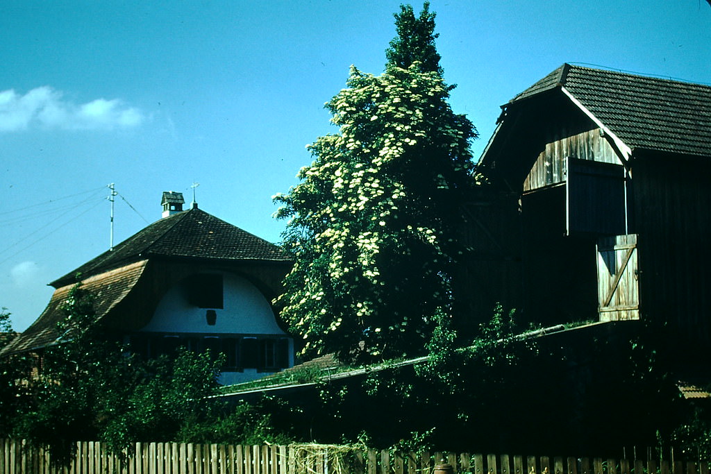 Swiss Farm Near Berne, Switzerland, 1954