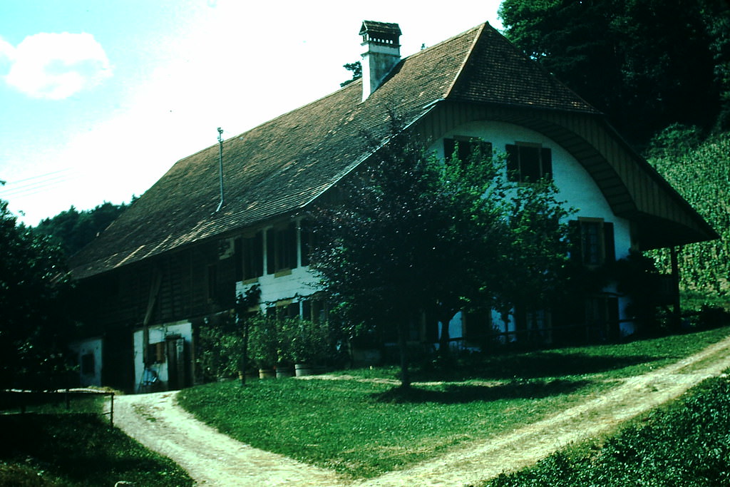 Swiss Farm, Switzerland, 1954