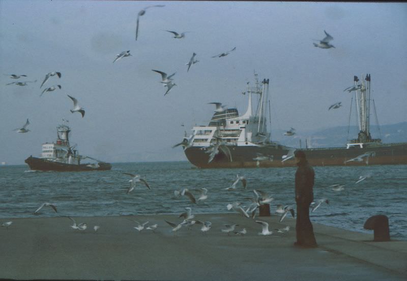 Man at dock