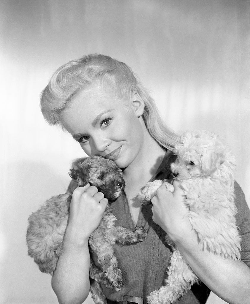 Tuesday Weld with two puppies, 1959.