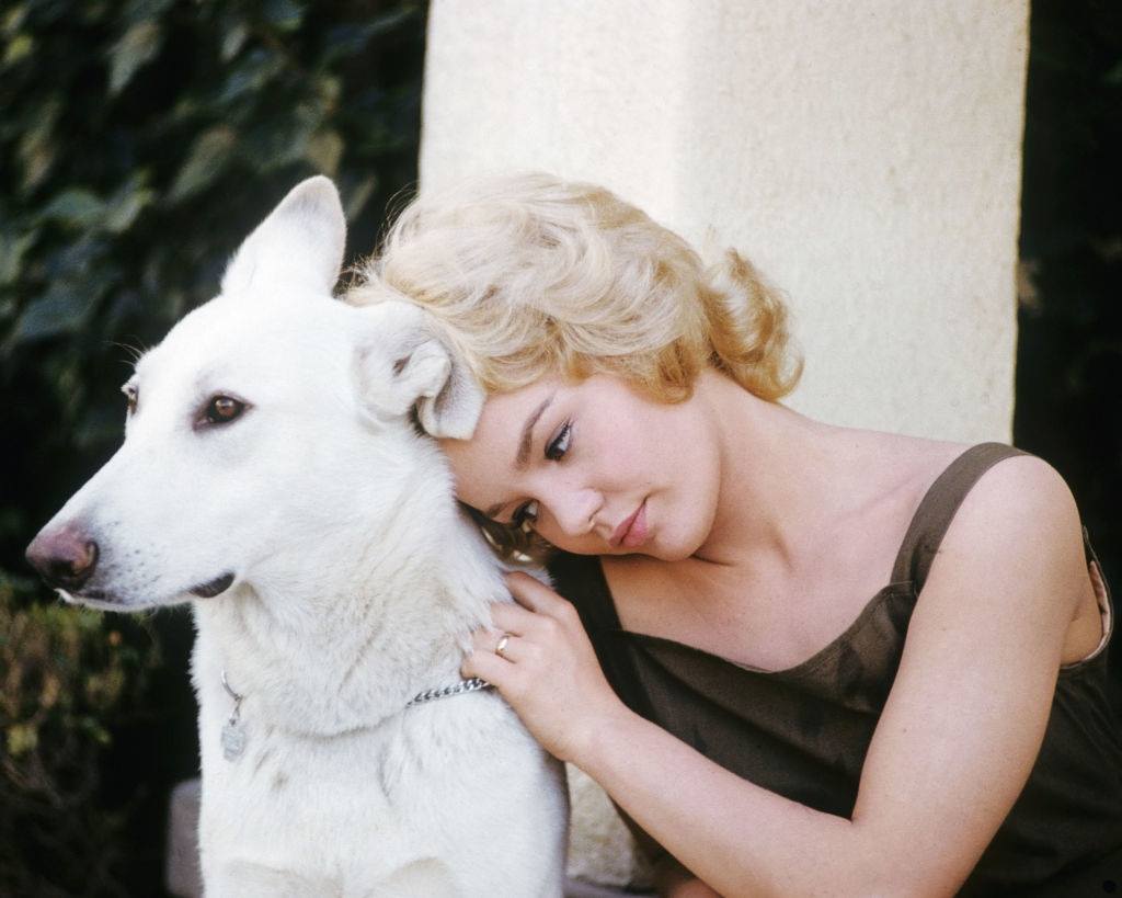 Tuesday Weld, wearing a khaki vest, posing beside a white dog, 1965.