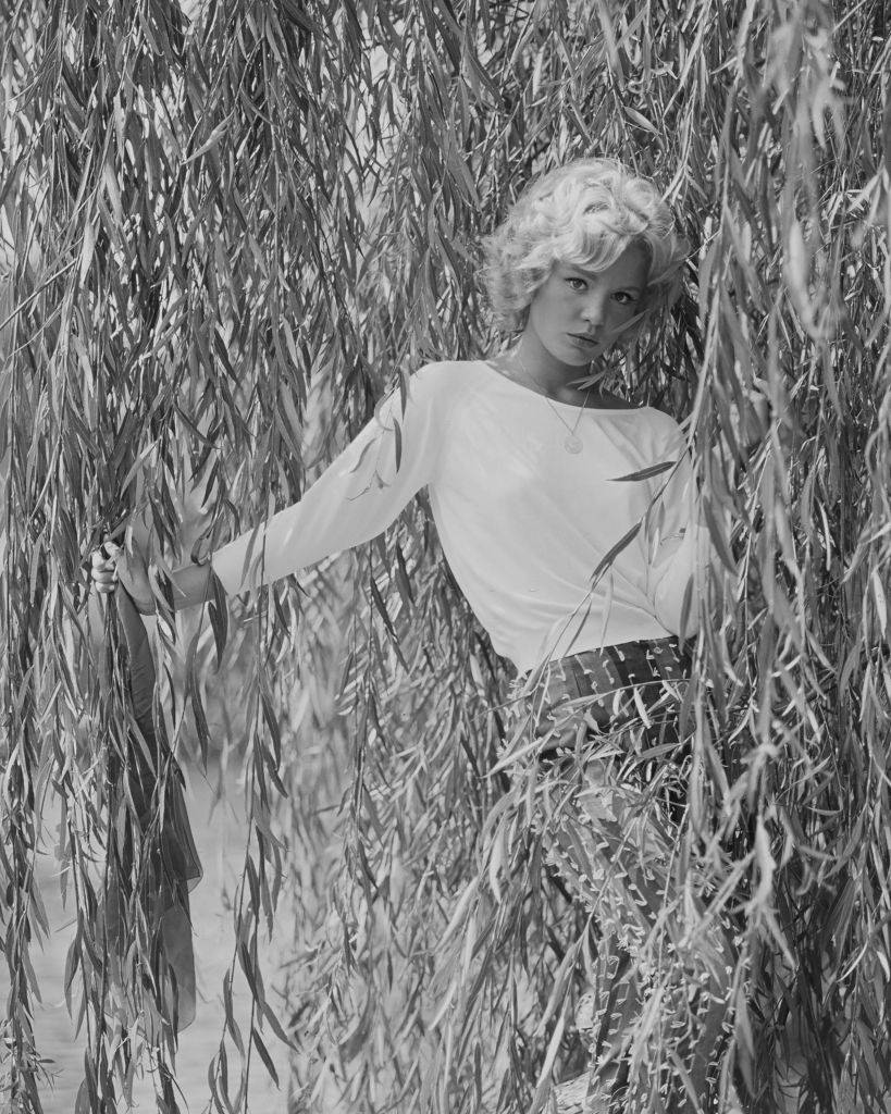 Tuesday Weld as she poses among the leaves of a weeping willow tree, 1960s.