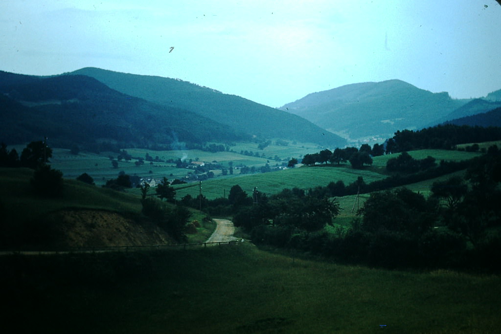 Forest Over Looking Hunting Lodge, Vienna, 1953