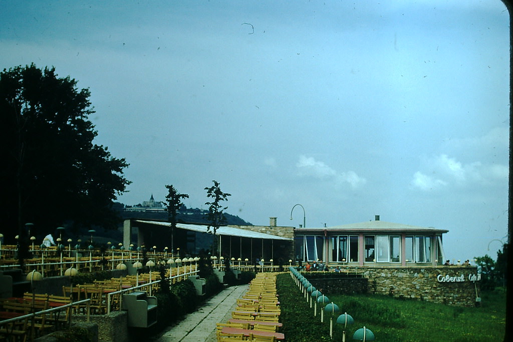 Cobenzl Restaurant, Vienna, 1953