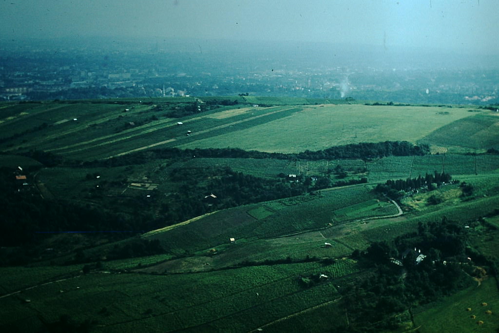 Grinzing Wine District, Vienna, 1953