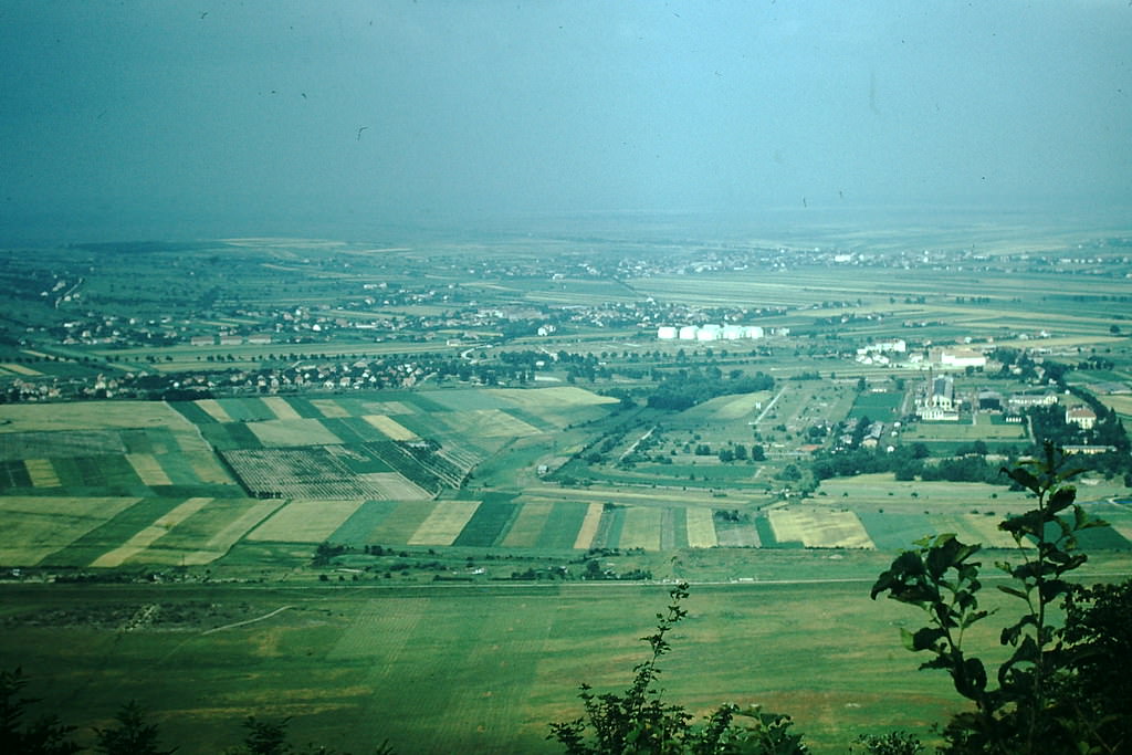 East of Danube- Vienna, Vienna, 1953