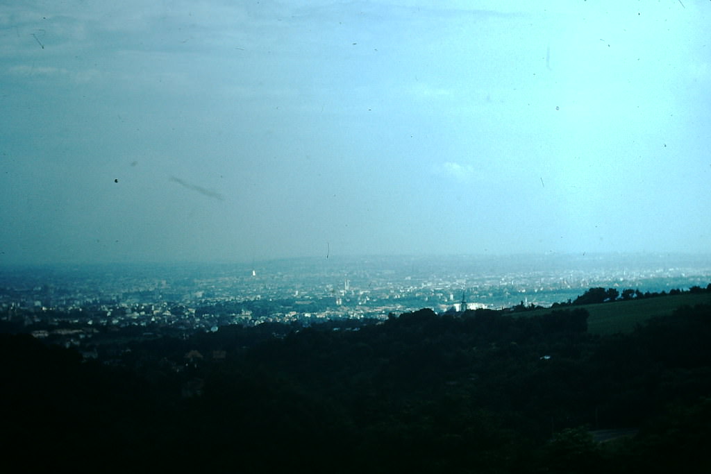 Vienna from Grinzing, 1953