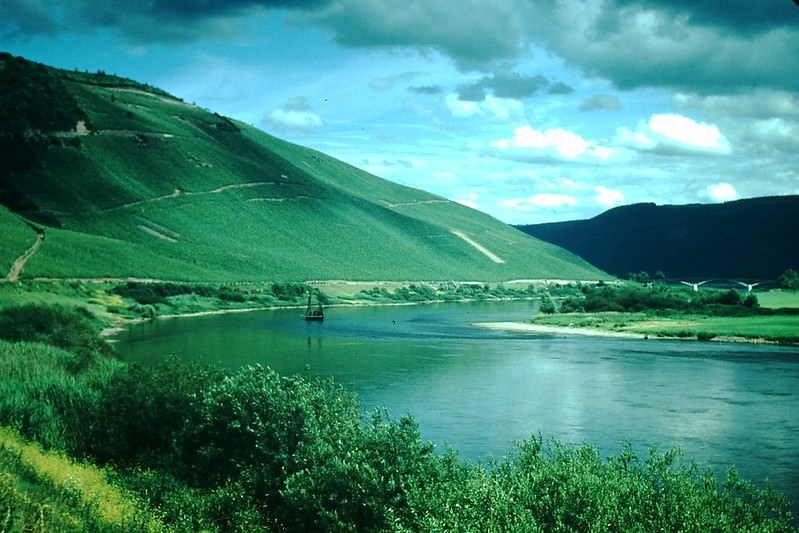 Vineyards on Mosel, Germany, 1954