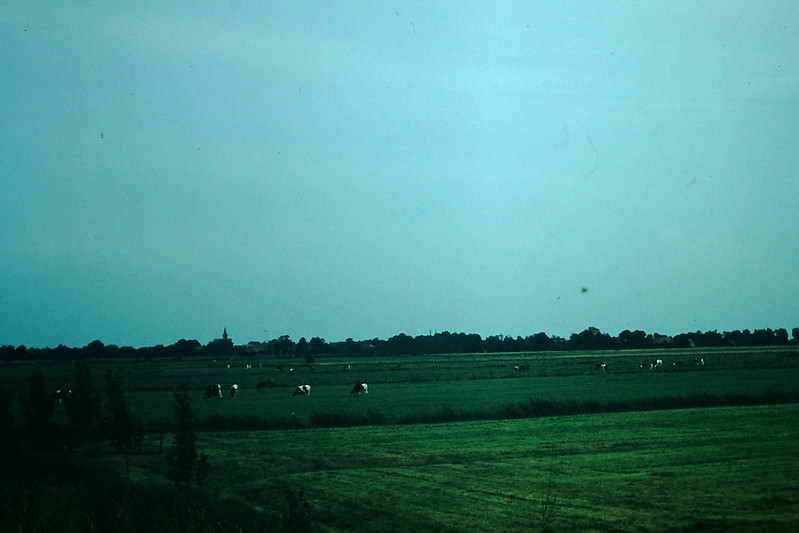 Countryside of Ostfriesland, Nr Dutch Border, Germany, 1954.