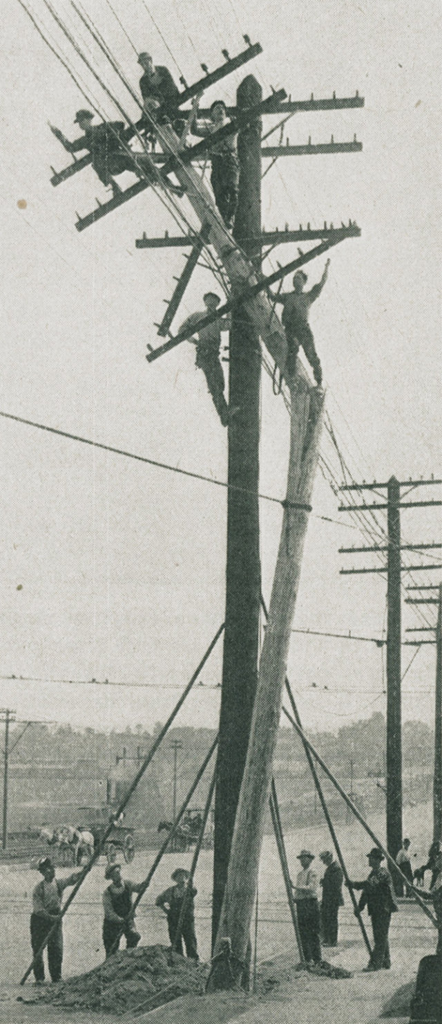 Stunning Photos of Linemen Working on Wooden Utility Poles from the Early 1900s