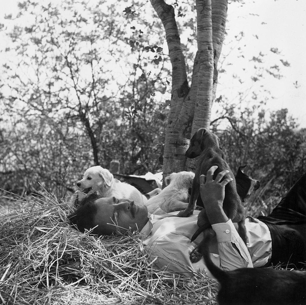 Marlon Brando taking a break with puppies, 1952.