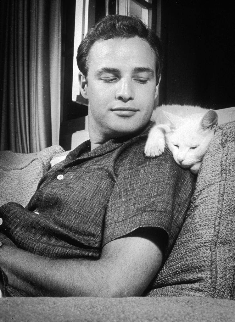 Marlon Brando leans back on a sofa and smiles at a cat, 1954.