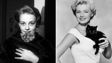 Classic Hollywood actresses with cats
