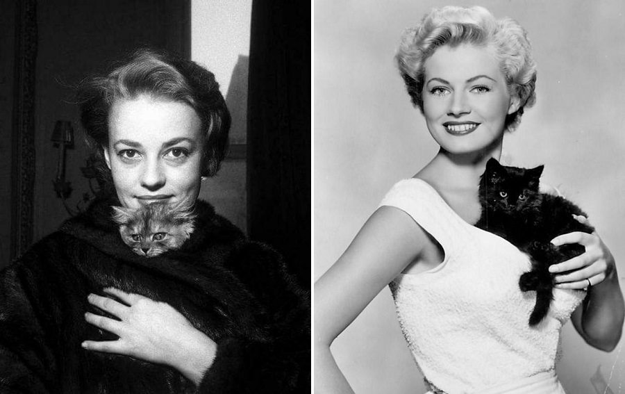 Classic Hollywood actresses with cats