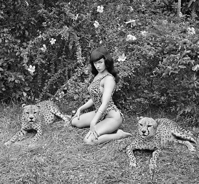 Stunning Pinup Photos of Bettie Page with the Cheetahs in 1954